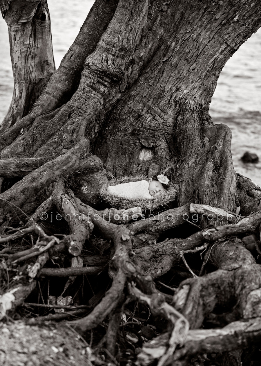 Hawaii newborn photography